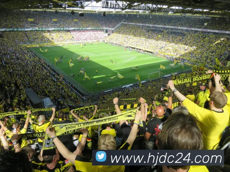 皇家赌场hjdc服务体系